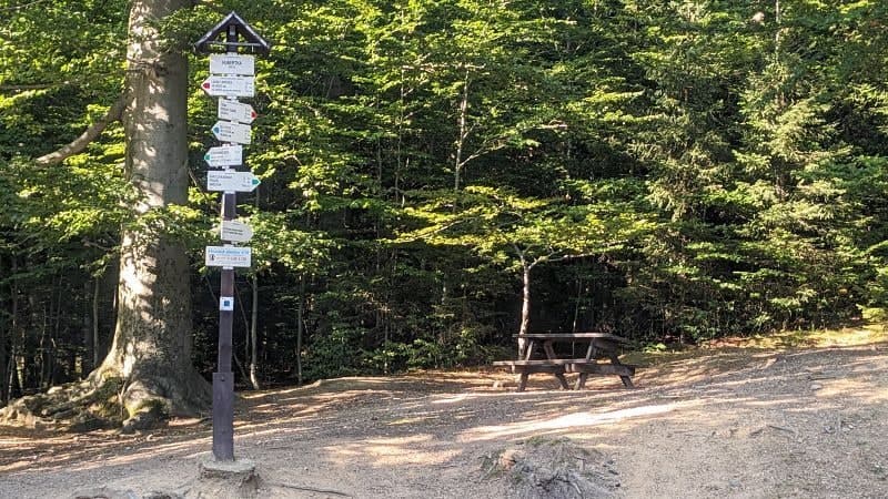 Turistický rozcestník v jizerskohorské bučině